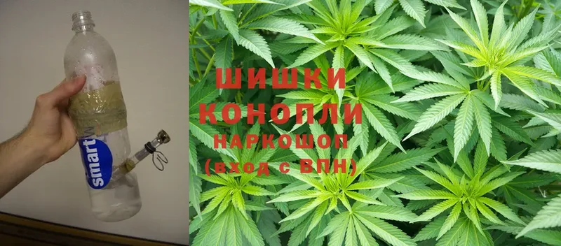 купить наркотик  Ахтубинск  Бошки марихуана SATIVA & INDICA 